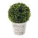 Planta Decorativa Polietileno Polipropileno Cemento 17 x 17 x 27 cm