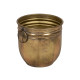 Planter Golden Iron (3 Units)