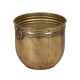 Planter Golden Iron (3 Units)
