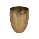 Planter Golden Iron (3 Units)