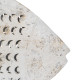 Decorative Figure Fish