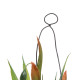 Decorative Plant Polyester Polyethylene Iron 7 x 7 x 20 cm