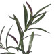 Planta Decorativa PEVA 30 X 25 X 72 CM
