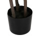 Decorative Plant Rubber polypropylene 80 X 80 X 165 CM