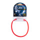 Dog Lead Hilton LED