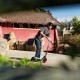 Patinete Scooter  A5 Lux Razor 13073067 Negro