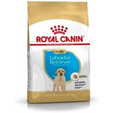 Fodder Royal Canin Kid/Junior 3 Kg