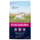 Pienso Eukanuba Growing Puppy Small Breed Cachorro/Junior Pollo 3 Kg