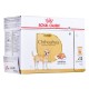 Wet food Royal Canin Chihuahua Adult 85 g