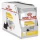 Wet food Royal Canin Dermacomfort Meat 12 x 85 g