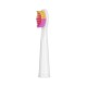 Cepillo de Dientes Eléctrico Fairywill 507 black&pink