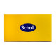 Chanclas Scholl PRS014BEZ40