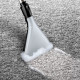 Aspirador BOSCH BWD421PET Negro Rojo Negro/Rojo