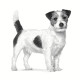 Pienso Royal Canin Gastrointestinal Low Fat Small VHN Adulto Carne Aves 1,5 Kg