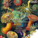 Puzzle Cenega Publishing Ernst Haeckel Criaturas marinas 1000 Pieces
