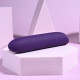 Bullet Vibrator Playboy Purple