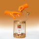 Erotic Massage Oil Exsens