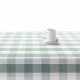 Stain-proof tablecloth Belum 0120-104 Green 200 x 140 cm Frames