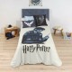 Nordic cover Harry Potter 180 x 220 cm Single