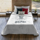 Nordic cover Harry Potter Dormiens Draco 220 x 220 cm Double