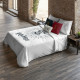 Nordic cover Harry Potter Dormiens Draco 220 x 220 cm Double