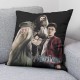 Cushion cover Harry Potter Team 50 x 50 cm