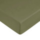 Fitted bottom sheet Decolores Liso Green 140 x 200 cm