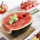 Watermelon Cube Cutter Cutmil InnovaGoods