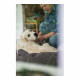 Sofá para Perro Hunter (Reacondicionado A)