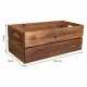 Storage boxes Alexandra House Living Brown Fir wood 2 Pieces