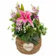 Flores Decorativas Alexandra House Living Multicolor 25 x 36 x 31 cm