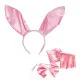 Sexy Bunny Costume