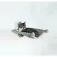 Scratching Post for Cats Trixie Grey 42 × 41 cm