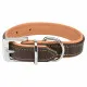 Dog collar Trixie Brown Light brown XS/S