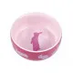 Pet feeding dish Trixie 250 ml Rodents