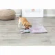 Pet blanket Trixie 038242 Lilac Light grey 55 x 40 cm