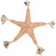 Dog toy Trixie Polyester Cotton Starfish 32 cm