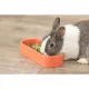 Pet feeding dish Trixie 600 ml