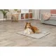 Pet blanket Trixie CityStyle Light grey Polyester Polyurethane Synthetic Leather 80 × 80 cm