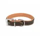 Dog collar Trixie Brown Light brown