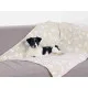 Pet blanket Trixie Kenny Beige Polyester 100 × 75 CM