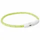 Collar LED para Mascotas Trixie Verde XS/S