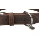 Dog collar Trixie Rustic Grey L/XL 57-66 cm