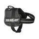 Arnés para Perro Julius K9 Power Negro 1 Baby 1 (XS)