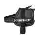 Arnés para Perro Julius K9 Power Negro 1 Baby 1 (XS)