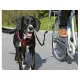 Dog Lead Trixie Reflective Bicycle