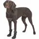 Leg protection walker Trixie Black L