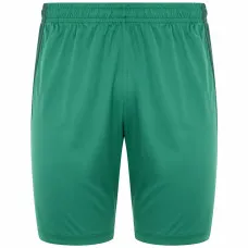 Men's Sports Shorts Kappa DELEBIO Green