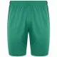 Men's Sports Shorts Kappa DELEBIO Green