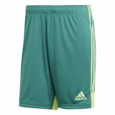 Men's Sports Shorts Adidas TASTIGO19 SHO Green